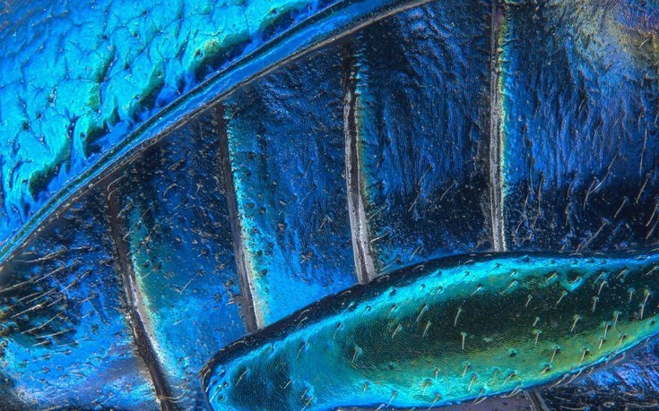 photographywinner18 photographywinner18