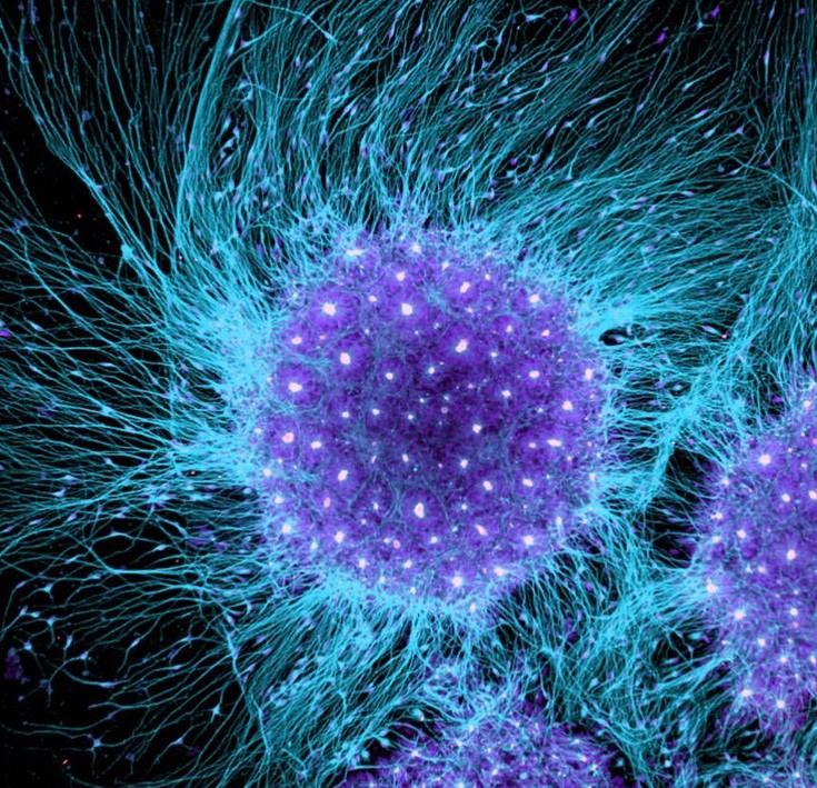 photographywinner19 photographywinner19