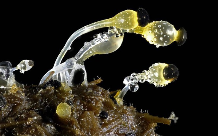 photographywinner20 photographywinner20