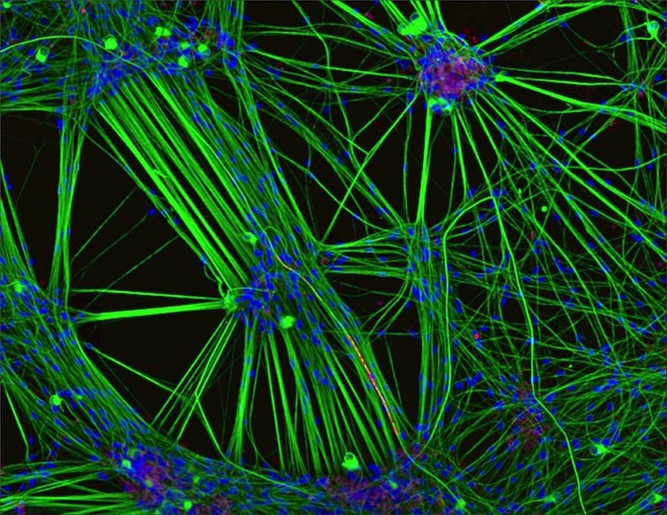 photographywinner3 photographywinner3