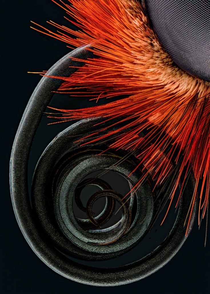 photographywinner4 photographywinner4