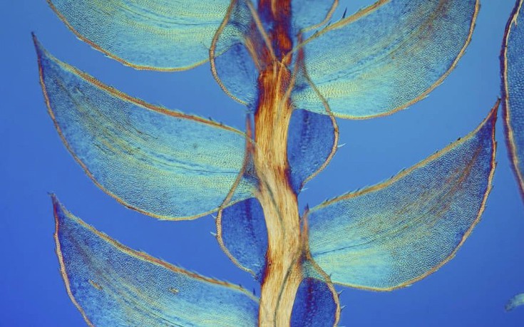 photographywinner7 photographywinner7