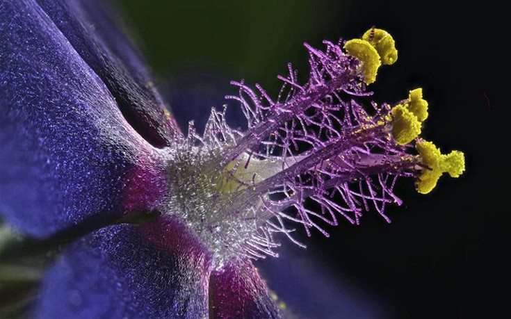 photographywinner8 photographywinner8