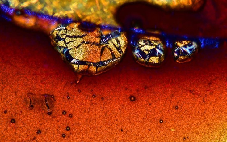 photographywinner9 photographywinner9