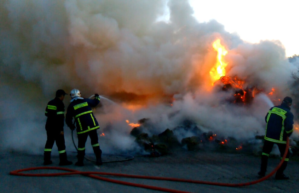 pirkagia-ntalikas-4 pirkagia-ntalikas-4