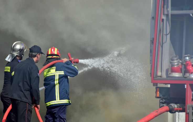 Σκύλος δάγκωσε πυροσβέστη την ώρα που έσβηνε φωτιά