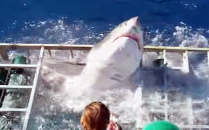 Δύτης εγκλωβίστηκε σε κλουβί με μεγάλο λευκό καρχαρία