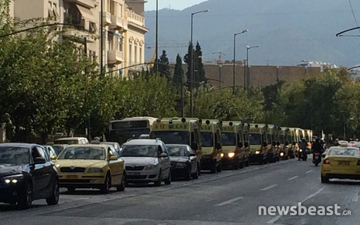 sthenofora1 sthenofora1