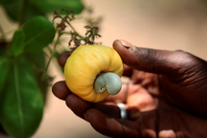 1473692773_cashew-nut