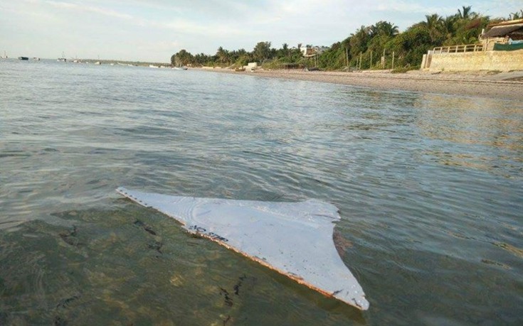 AlanGibson8 AlanGibson8