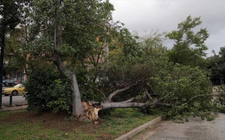Διακοπή κυκλοφορίας στη λεωφόρο Πάρνηθος, εκατοντάδες κλήσεις στην Πυροσβεστική