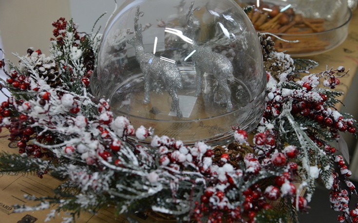 chriasmab2 chriasmab2