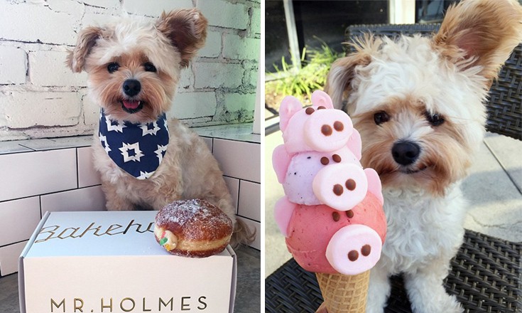 dogasdnasb2 dogasdnasb2