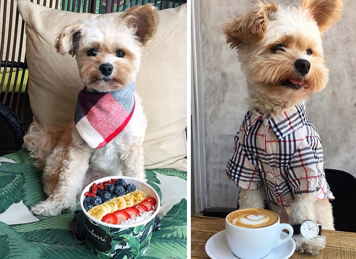 dogasdnasb3 dogasdnasb3