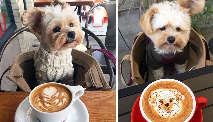 dogasdnasb4 dogasdnasb4