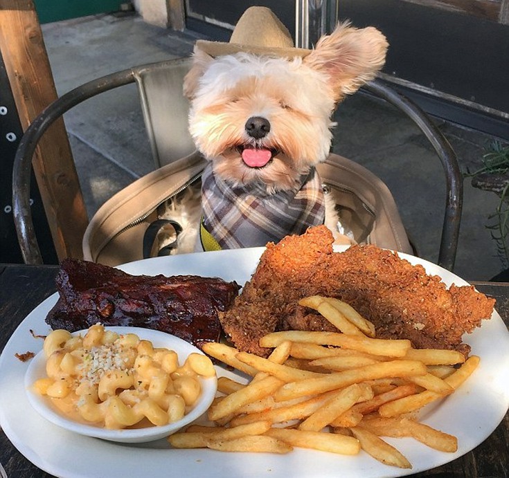 dogasdnasb5 dogasdnasb5