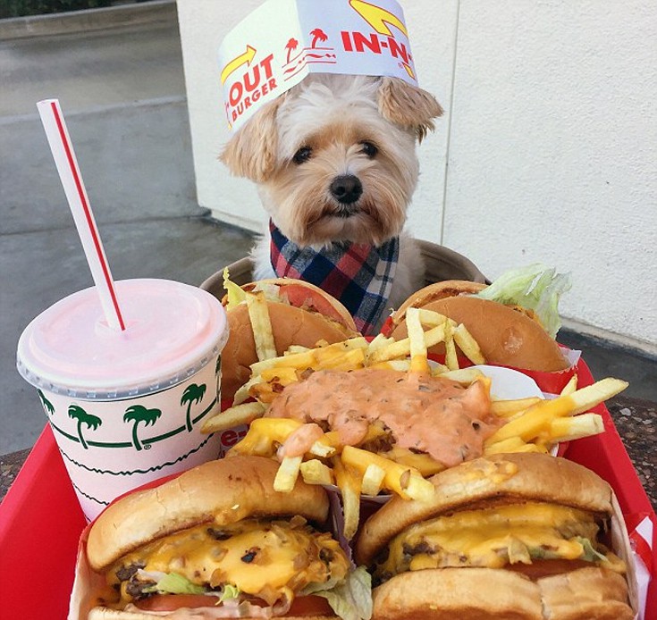 dogasdnasb6 dogasdnasb6