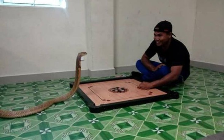 Παντρεύτηκε ένα φίδι γιατί του έμοιαζε με την αγαπημένη του που είχε πεθάνει