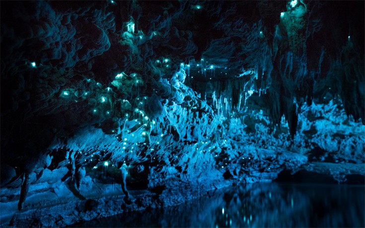 Εντυπωσιακές πυγολαμπίδες φωτίζουν σπηλιά 30 εκατ. ετών
