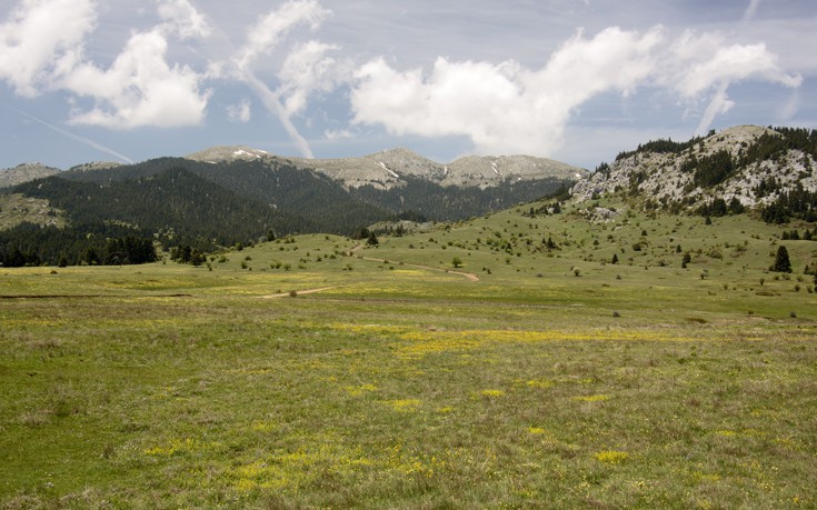 ΟΙΤΗ