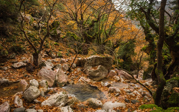 Εξόρμηση στο Καρπενήσι