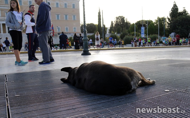 marthrun19 marthrun19