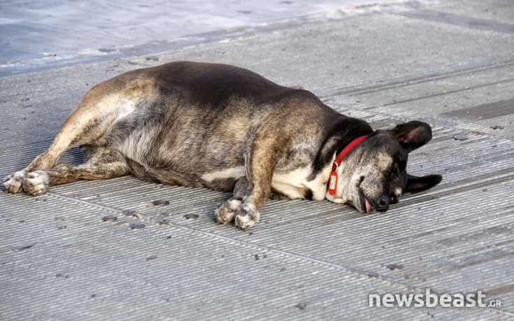 marthrun20 marthrun20