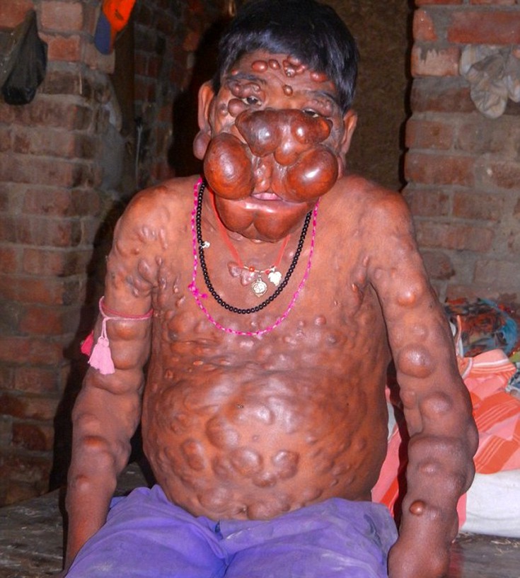 prasxmind2 prasxmind2