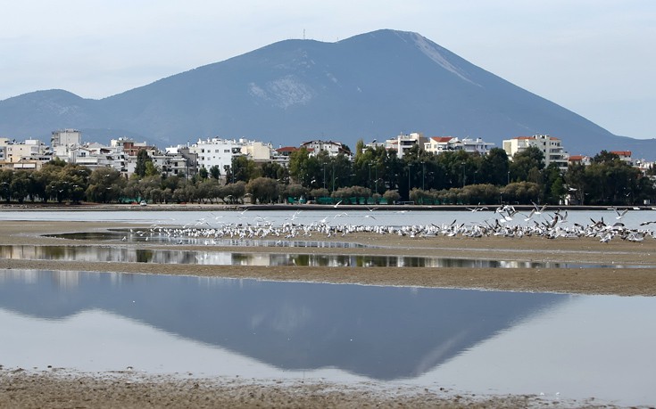 Μεγάλη ψιλή