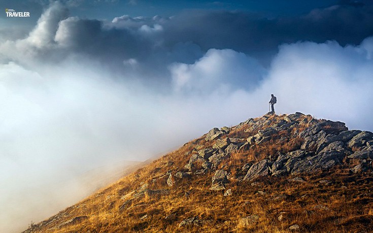 tardafsvd2 tardafsvd2