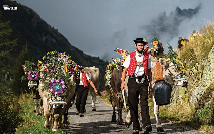 tardafsvd5 tardafsvd5