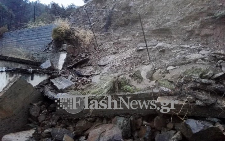 tffnrkrot10 tffnrkrot10