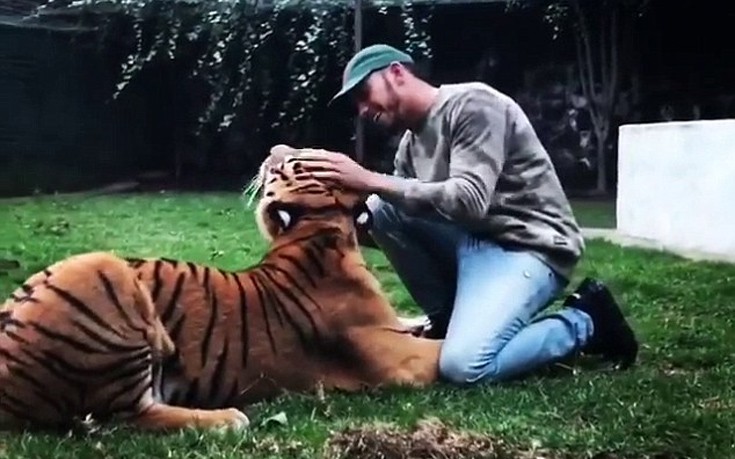 Ο Λούις Χάμιλτον και τα παιχνίδια του με μια τίγρη