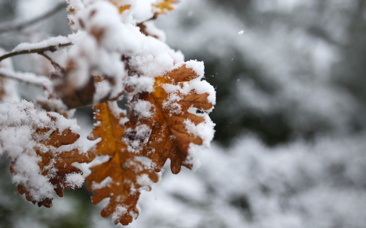 Σάκης Αρναούτογλου: Προσοχή στις προγνώσεις &#8211; «Τι σημαίνει βαρύς χειμώνας;»