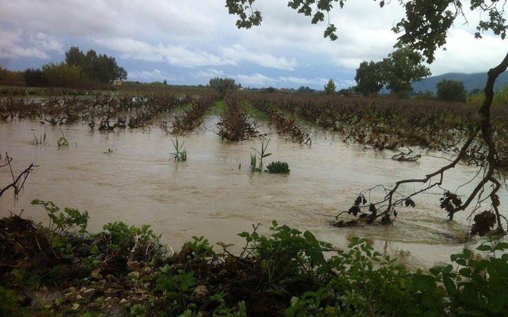 zakintho10 zakintho10