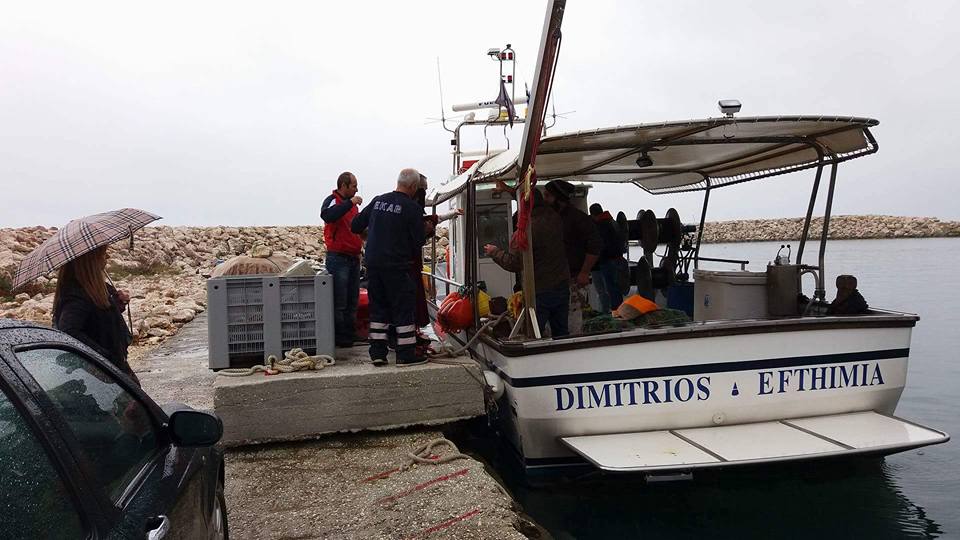 15317785_10211114594360394_6773987297148994208_n 15317785_10211114594360394_6773987297148994208_n