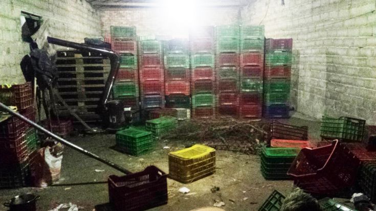 17122016gadadiakinisi006 17122016gadadiakinisi006