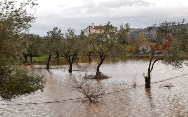 Στις πληγείσες περιοχές της Λέσβου αύριο ο υπουργός Αγροτικής Ανάπτυξης