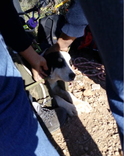 4IMG_20161210_145046 4IMG_20161210_145046