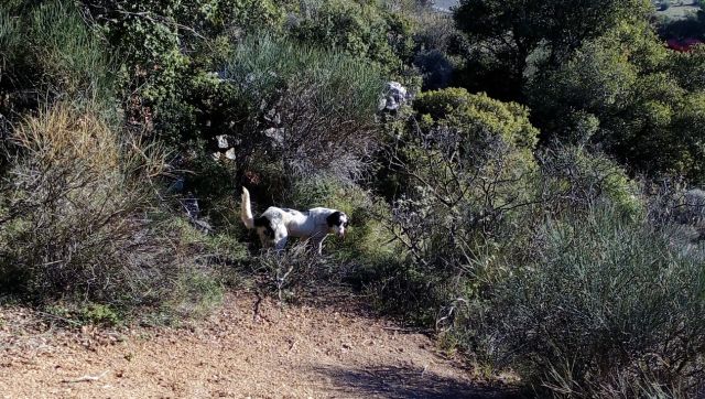 IMG_20161210_145156 IMG_20161210_145156