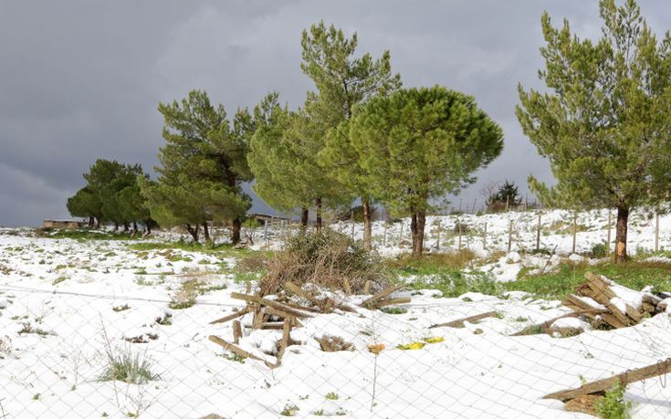 Πολικές θερμοκρασίες στην ανατολική Κρήτη