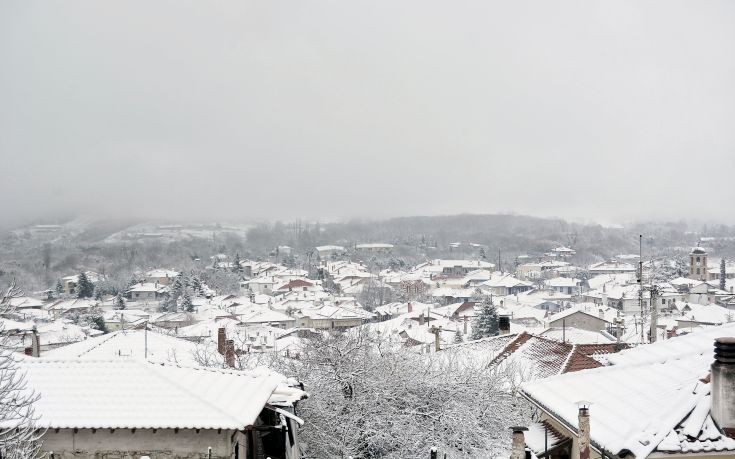 ΑΡΝΑΙΑ ΧΑΛΚΙΔΙΚΗ ΑΡΝΑΙΑ ΧΑΛΚΙΔΙΚΗ