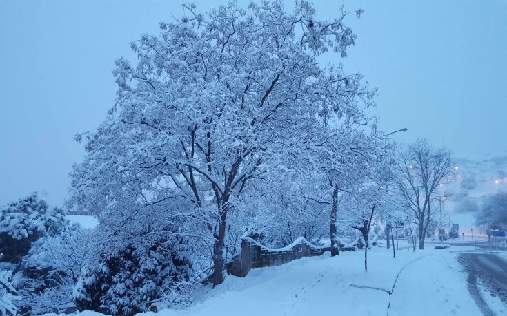 ΦΘΙΩΤΙΔΑ ΦΘΙΩΤΙΔΑ