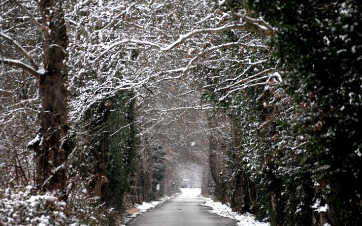 ΛΑΖΑΡΙΝΑ ΚΑΡΔΙΤΣΑ ΛΑΖΑΡΙΝΑ ΚΑΡΔΙΤΣΑ