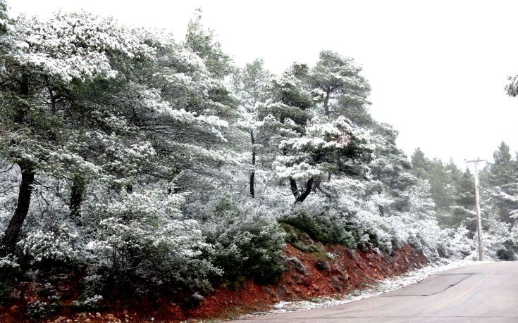 ΠΑΡΝΗΘΑ ΠΑΡΝΗΘΑ