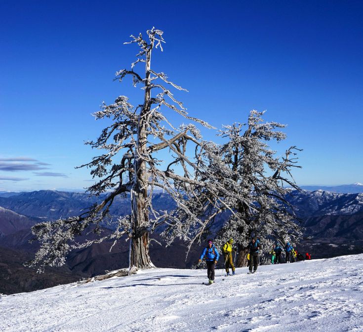 ΣΜΟΛΙΚΑΣ ΣΜΟΛΙΚΑΣ