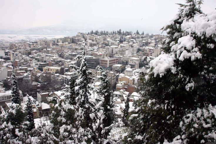 ΛΑΜΙΑ ΛΑΜΙΑ