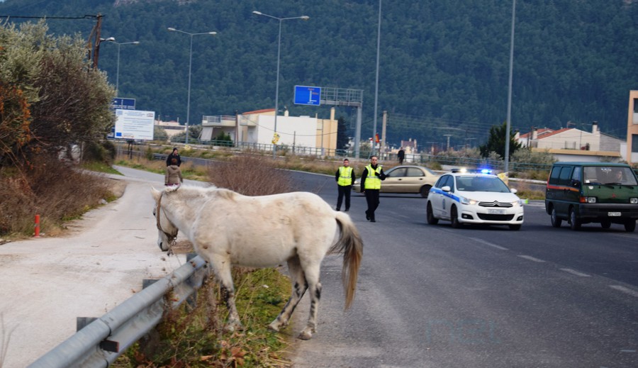 alogo_main_new-1 alogo_main_new-1