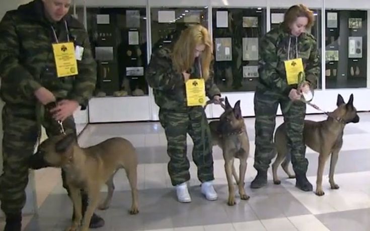 Τα κλωνοποιημένα σκυλιά που συνδράμουν αστυνομικούς στη Σιβηρία