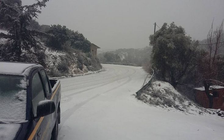 dromos-floria-xionia-1 dromos-floria-xionia-1